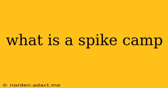 what is a spike camp