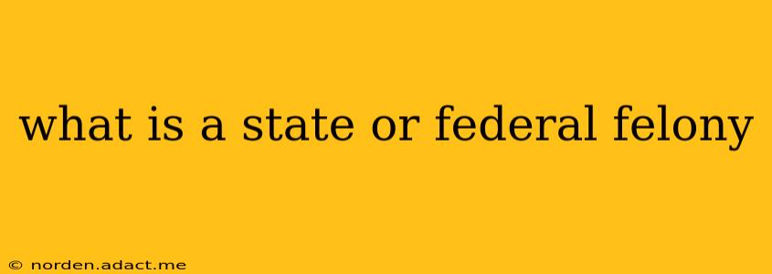 what is a state or federal felony