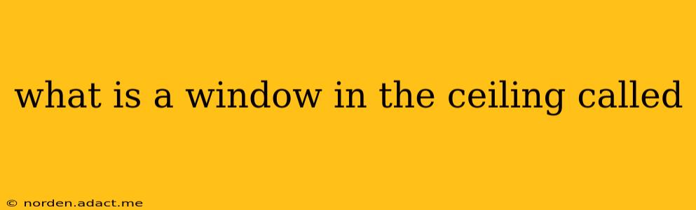 what is a window in the ceiling called