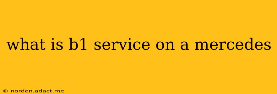 what is b1 service on a mercedes