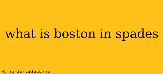 what is boston in spades
