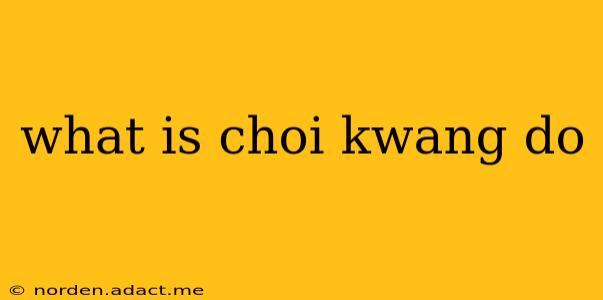 what is choi kwang do