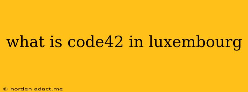 what is code42 in luxembourg