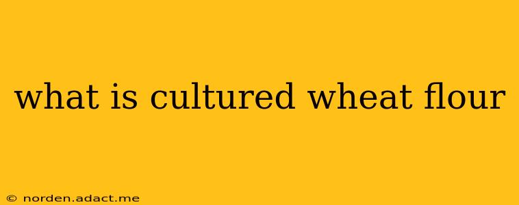 what is cultured wheat flour