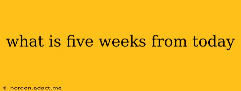 what is five weeks from today