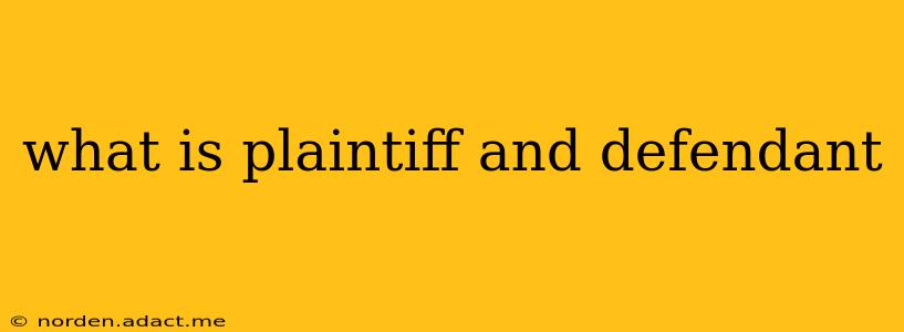 what is plaintiff and defendant