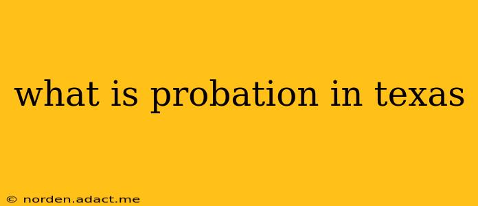what is probation in texas