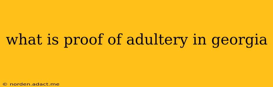 what is proof of adultery in georgia