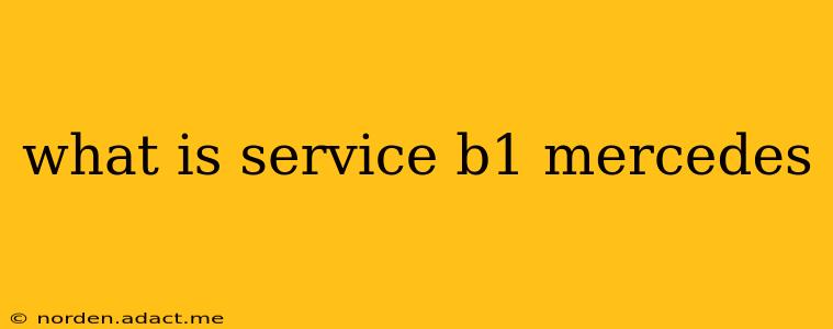 what is service b1 mercedes