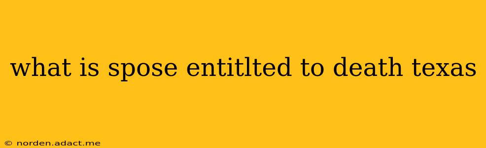 what is spose entitlted to death texas