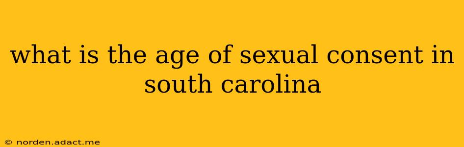 what is the age of sexual consent in south carolina