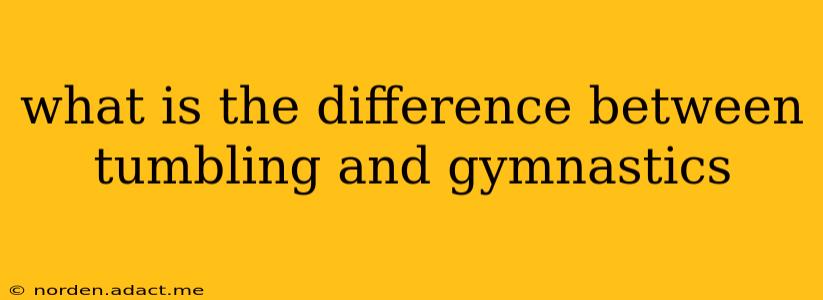 what is the difference between tumbling and gymnastics