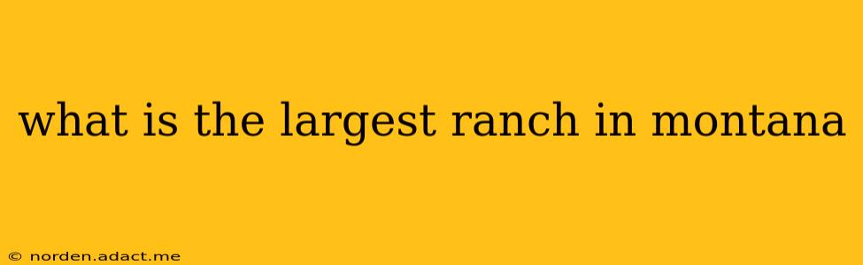 what is the largest ranch in montana