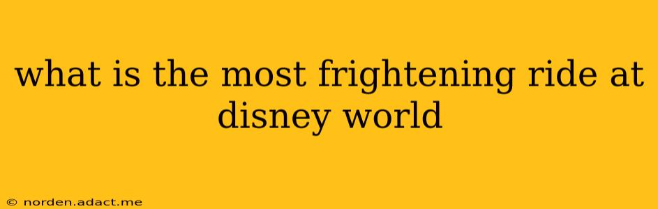what is the most frightening ride at disney world