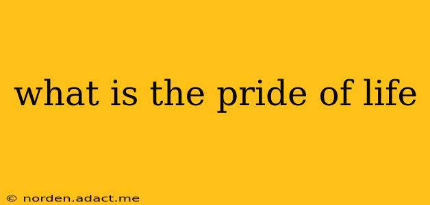 what is the pride of life
