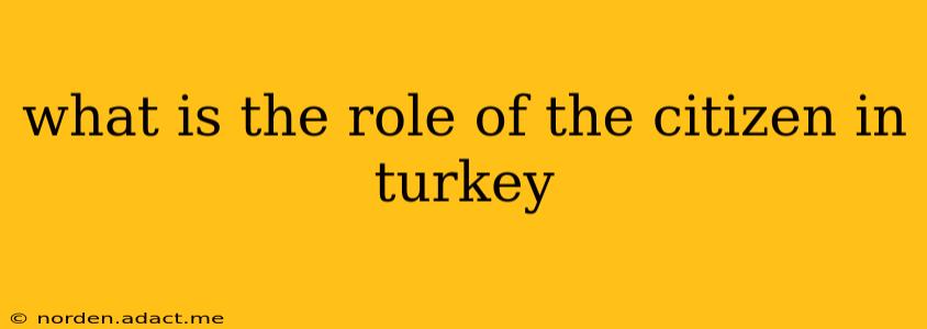 what is the role of the citizen in turkey