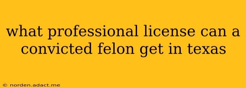 what professional license can a convicted felon get in texas
