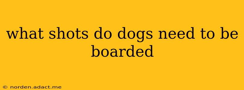 what shots do dogs need to be boarded