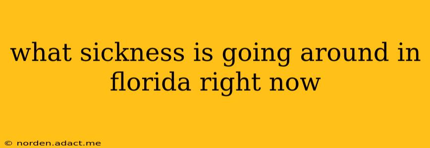 what sickness is going around in florida right now