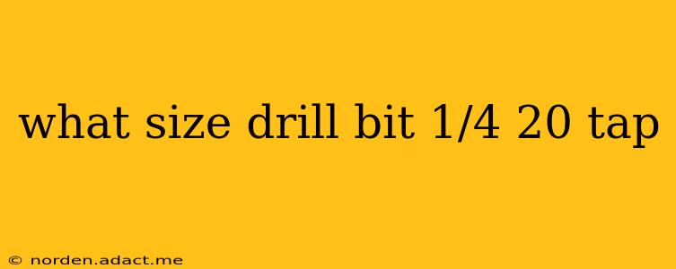 what size drill bit 1/4 20 tap
