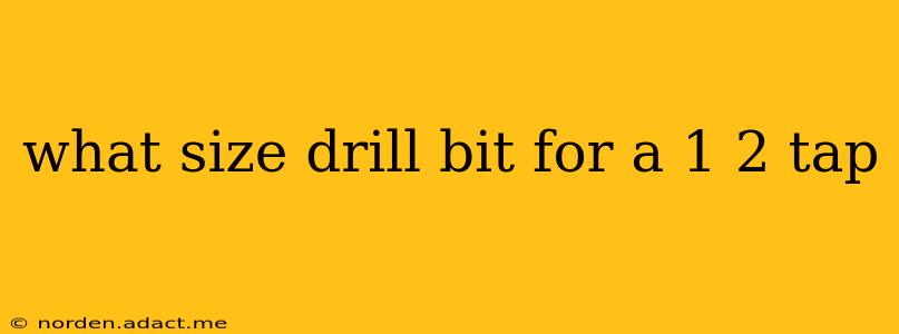 what size drill bit for a 1 2 tap