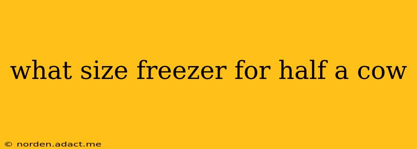 what size freezer for half a cow