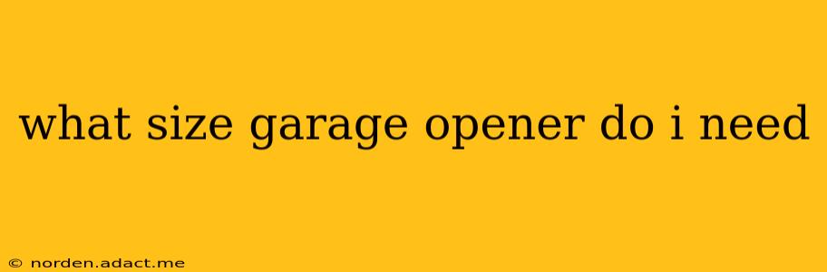 what size garage opener do i need