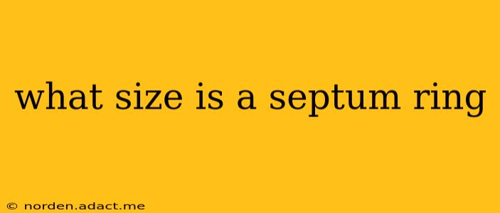what size is a septum ring