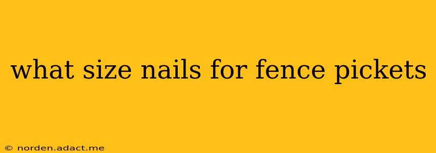 what size nails for fence pickets