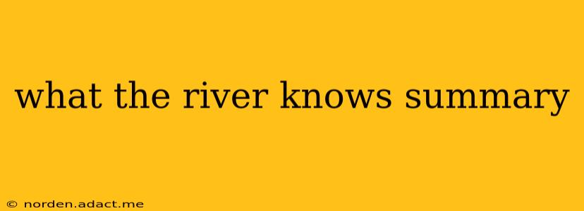 what the river knows summary