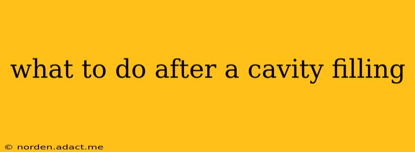 what to do after a cavity filling