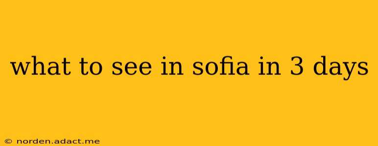 what to see in sofia in 3 days