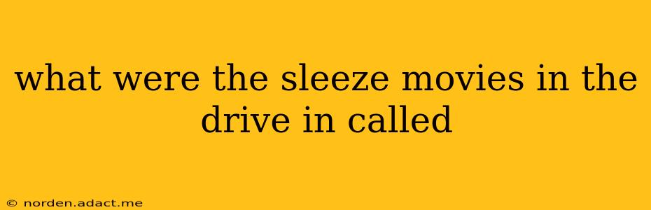 what were the sleeze movies in the drive in called