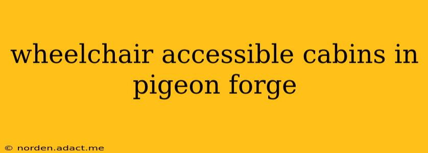 wheelchair accessible cabins in pigeon forge