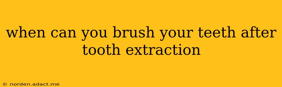when can you brush your teeth after tooth extraction