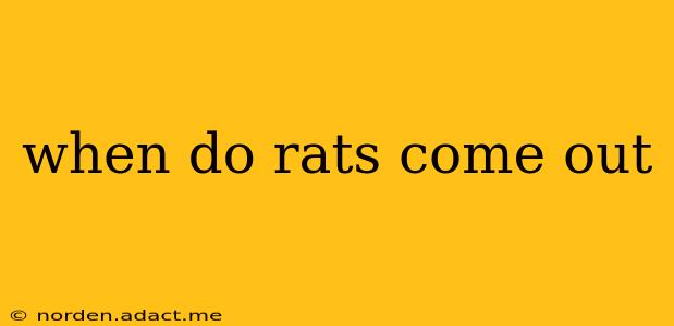 when do rats come out