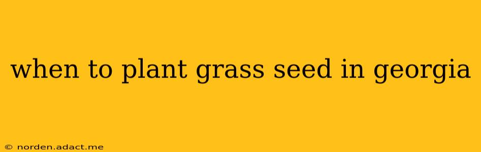 when to plant grass seed in georgia