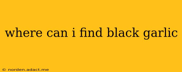 where can i find black garlic