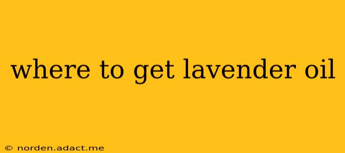 where to get lavender oil