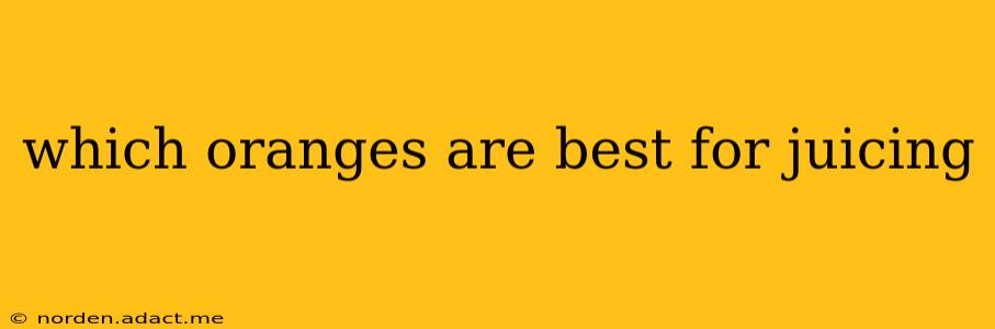 which oranges are best for juicing