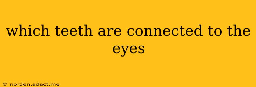 which teeth are connected to the eyes