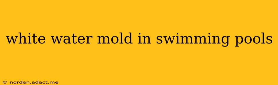 white water mold in swimming pools
