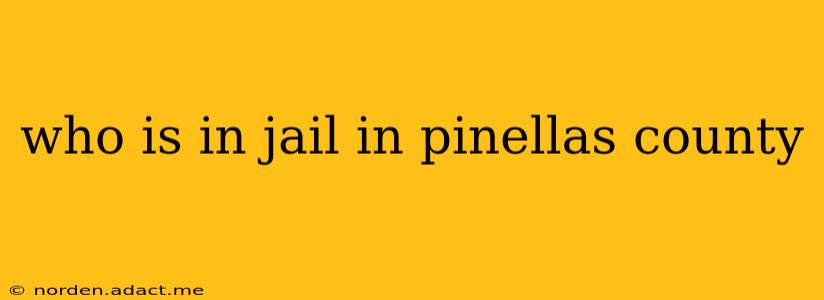 who is in jail in pinellas county