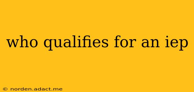 who qualifies for an iep