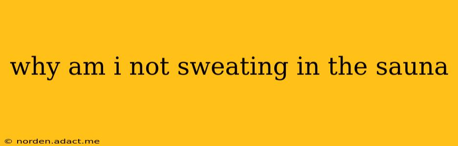 why am i not sweating in the sauna