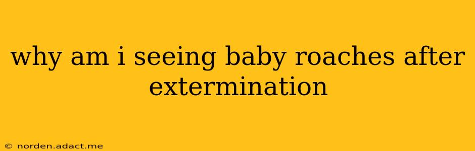 why am i seeing baby roaches after extermination