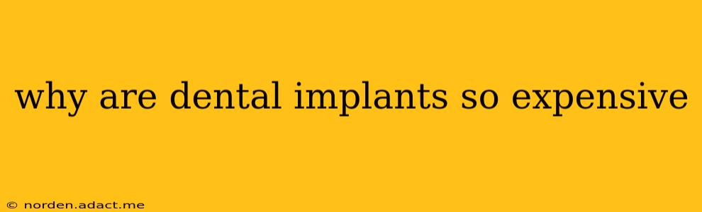 why are dental implants so expensive