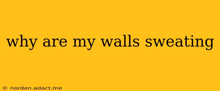 why are my walls sweating