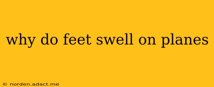 why do feet swell on planes