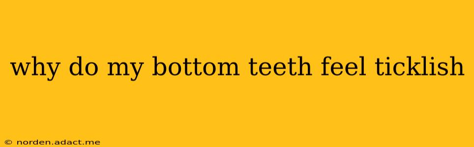 why do my bottom teeth feel ticklish